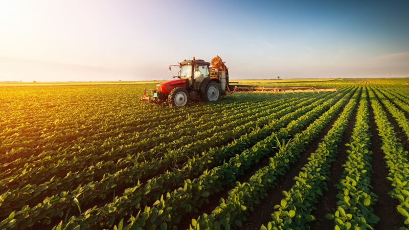 Governo italiano mobiliza 50 milhões de euros para impulsionar cadeia agro-alimentar em África – MozFlash24H