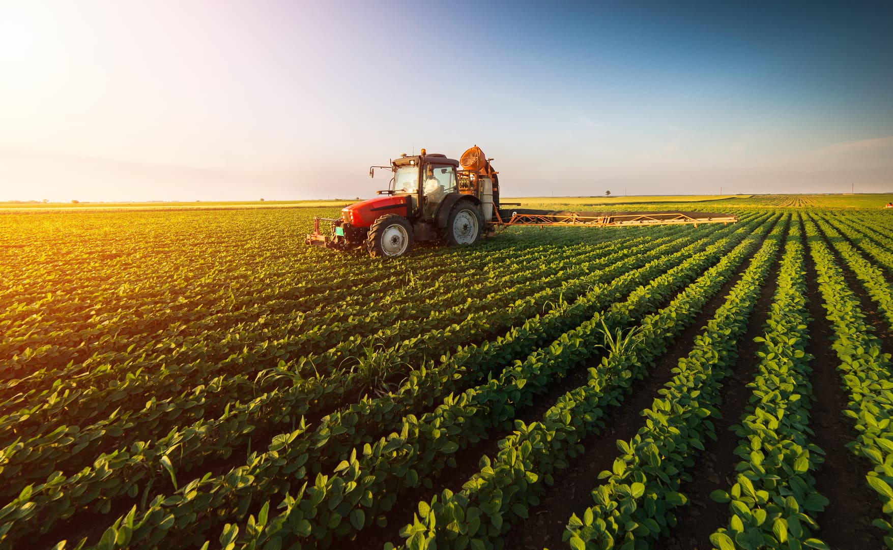 Governo italiano mobiliza 50 milhões de euros para impulsionar cadeia agro-alimentar em África – MozFlash24H